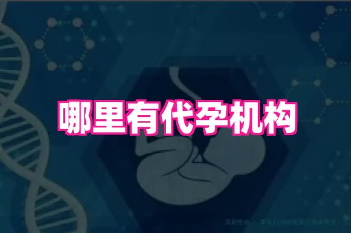 杭州助孕网站 3